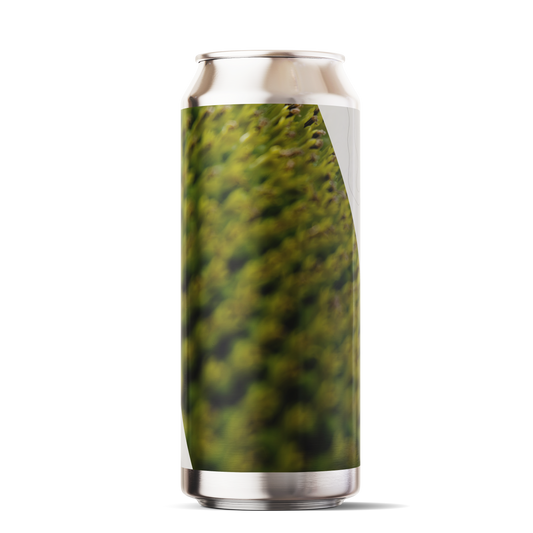 Backroads IPA / 6.2% / 6 PACK