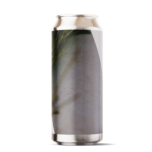 Hayward IPA / 6.0% / 6 PACK