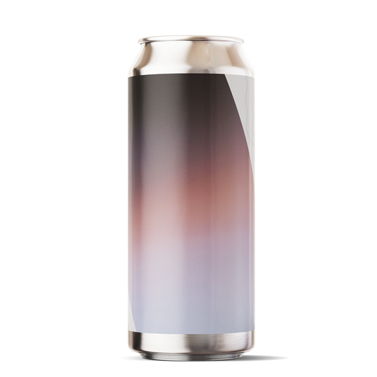 Payton Pale Ale / 5.8% / 6 PACK