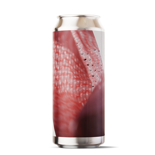 Return To You Pale Ale / 5.2% / 6 PACK